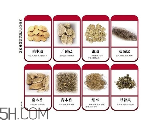 含馬兜鈴酸的藥都不能吃嗎？馬兜鈴酸真的會(huì)致癌嗎