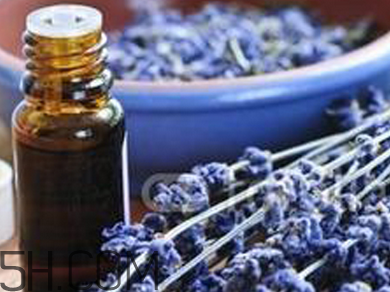 如何用精油護發(fā)？薰衣草精油護發(fā)怎么用？