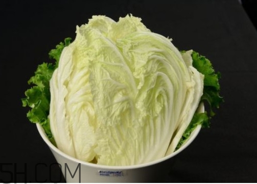 大白菜起源是哪里？大白菜產(chǎn)地分布有哪些