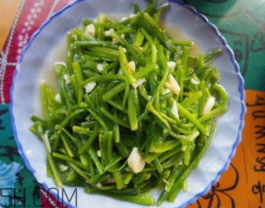 麗江水性楊花是什么菜？水性楊花菜怎么做？