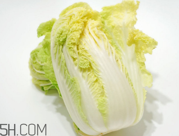 大白菜起源是哪里？大白菜產(chǎn)地分布有哪些
