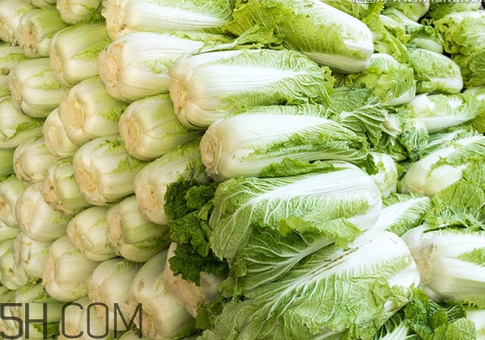 冬儲大白菜怎么才不會壞？冬儲大白菜什么時候上市