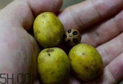 南酸棗可以泡酒嗎？南酸棗果核有什么功效