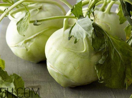 大頭菜營(yíng)養(yǎng)價(jià)值有哪些？大頭菜什么時(shí)候種植