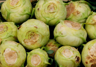 大頭菜是發(fā)物嗎？大頭菜是卷心菜嗎