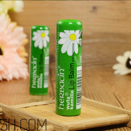 賀本清德國小甘菊潤唇膏好用嗎？賀本清德國小甘菊潤唇膏測評