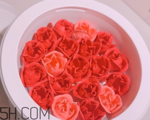拉杜麗鳥籠腮紅多少錢？laduree2018拉杜麗鳥籠腮紅試色