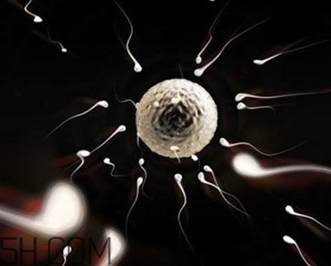 少精癥能自然懷孕嗎？少精癥多久能治好？