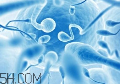 精子不液化是什么原因造成的？精子不液化吃什么藥好？