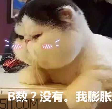 b數(shù)沒有我膨脹什么意思？b數(shù)沒有我膨脹表情包