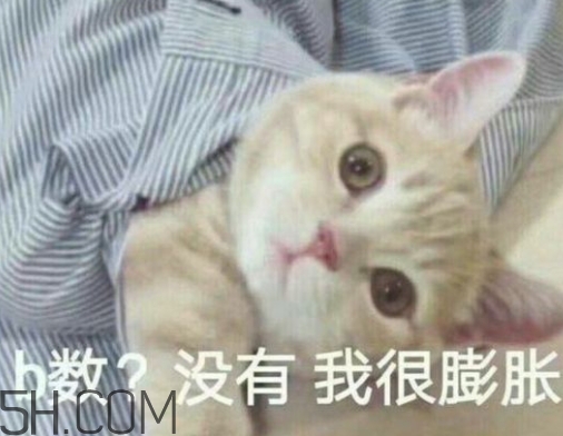 b數(shù)沒有我膨脹什么意思？b數(shù)沒有我膨脹表情包