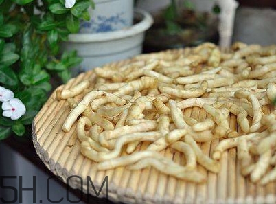 什么時候嫩姜芽上市？姜芽的功效與作用