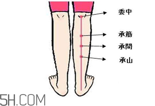 小腿抽筋可以跑步嗎？小腿抽筋可以拔火罐嗎