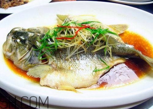 松江鱸魚(yú)怎么做？松江鱸魚(yú)養(yǎng)殖技術(shù)