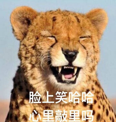 敲里lailai是什么意思？敲里lailai表情包無水印
