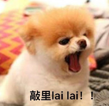 敲里lailai是什么意思？敲里lailai表情包無水印