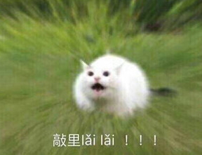 敲里lailai是什么意思？敲里lailai表情包無水印