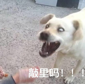 敲里lailai是什么意思？敲里lailai表情包無水印