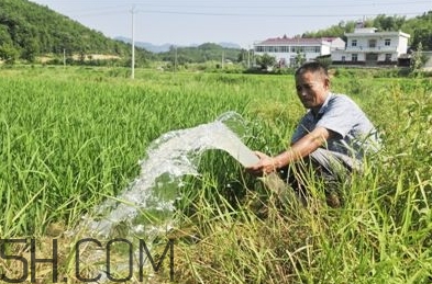 女生說抽水什么意思？女生發(fā)消息想抽水什么意思？