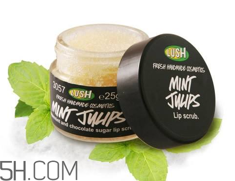 lush唇部磨砂膏好用嗎？lush唇部磨砂膏多少錢？