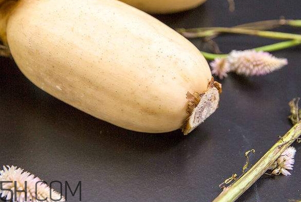 蓮藕是什么季節(jié)成熟的？蓮藕什么時候種植