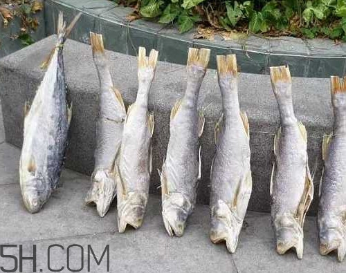 咸魚不能和什么一起吃？咸魚是什么意思