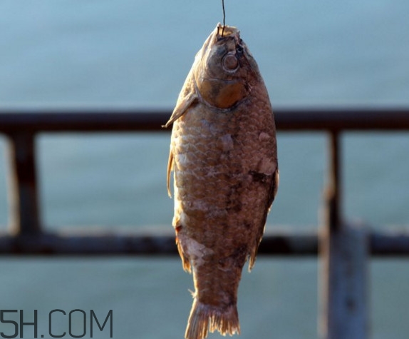 咸魚什么人不能吃？怎樣去除咸魚的咸