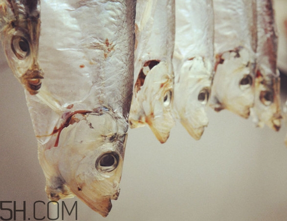 腌咸魚鹽和魚的比例是多少？咸魚一般腌多久才能曬