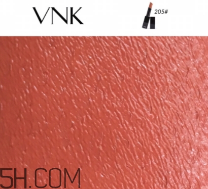 vnk口紅南瓜色色號(hào)試色