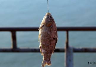 咸魚什么人不能吃？怎樣去除咸魚的咸