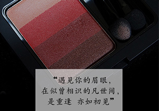 vnk眼影多少錢？vnk眼影價(jià)格