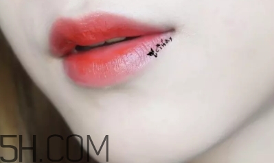 mac lady bug好看嗎？lady bug試色