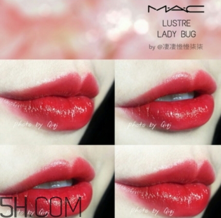 mac lady bug好看嗎？lady bug試色
