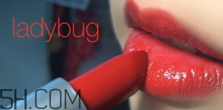mac lady bug掉色嗎？mac ladybug真假辨別
