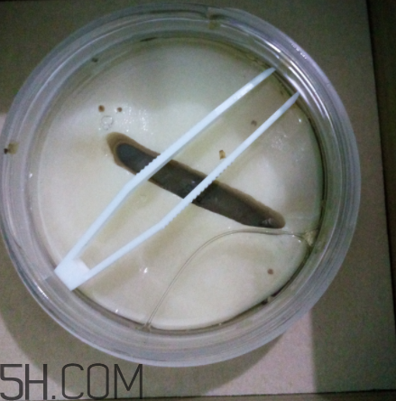 膜法世家金桂花眼膜怎么樣？膜法世家金桂花眼膜好用嗎？
