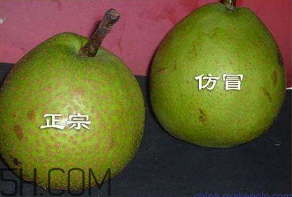 萊陽梨幾月份才會有？正宗萊陽梨哪里能買的到