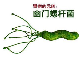 胃幽門螺旋菌陽性怎么辦？幽門螺桿菌能徹底治愈嗎