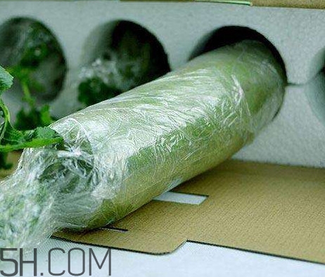 如何鑒別真假沙窩蘿卜？沙窩蘿卜怎么區(qū)分好壞