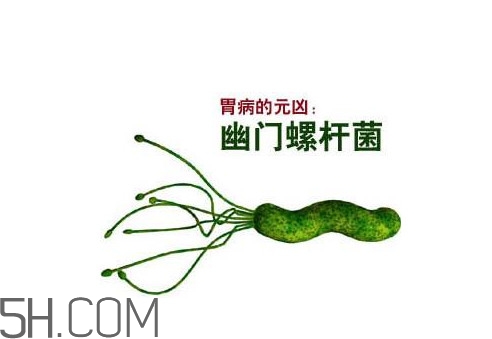 胃幽門螺旋菌陽性怎么辦？幽門螺桿菌能徹底治愈嗎
