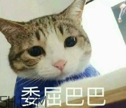 女人說失眠暗示什么？女生說失眠怎么回答
