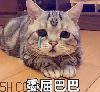 女生說我的胸好小什么意思？女生說我的胸好小怎么回復
