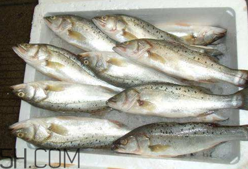 鯽魚(yú)冷凍后還能吃嗎 鯽魚(yú)冷凍后多久不能吃了