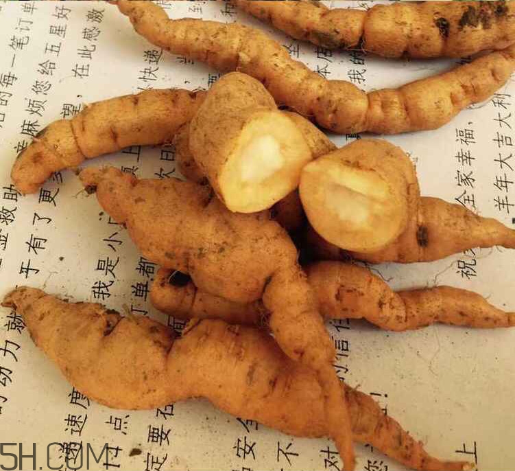 鮮地黃是什么？鮮地黃有什么功效？