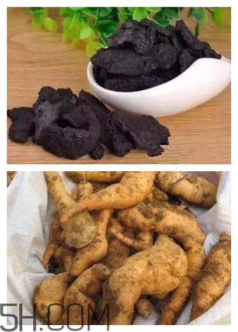 熟地黃與生地黃有什么區(qū)別？熟地黃有什么做法？