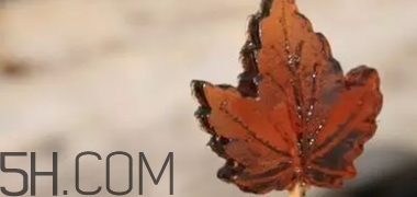 楓糖色口紅是什么顏色？楓糖色口紅試色