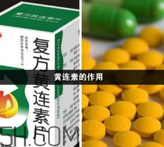 黃連素能降血糖嗎？黃連素能經(jīng)常吃嗎？
