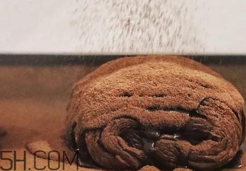 巧克力臟臟包怎么做？巧克力臟臟包的做法