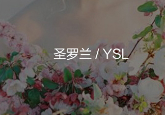 ysl圓管29試色 ysl圓管29號(hào)豆沙色