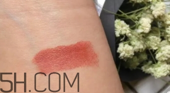 mac mocha和brick哪個(gè)好看？mac mocha和brick試色對(duì)比