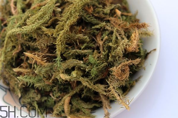 什么是伸筋草？伸筋草的功效與作用是什么？